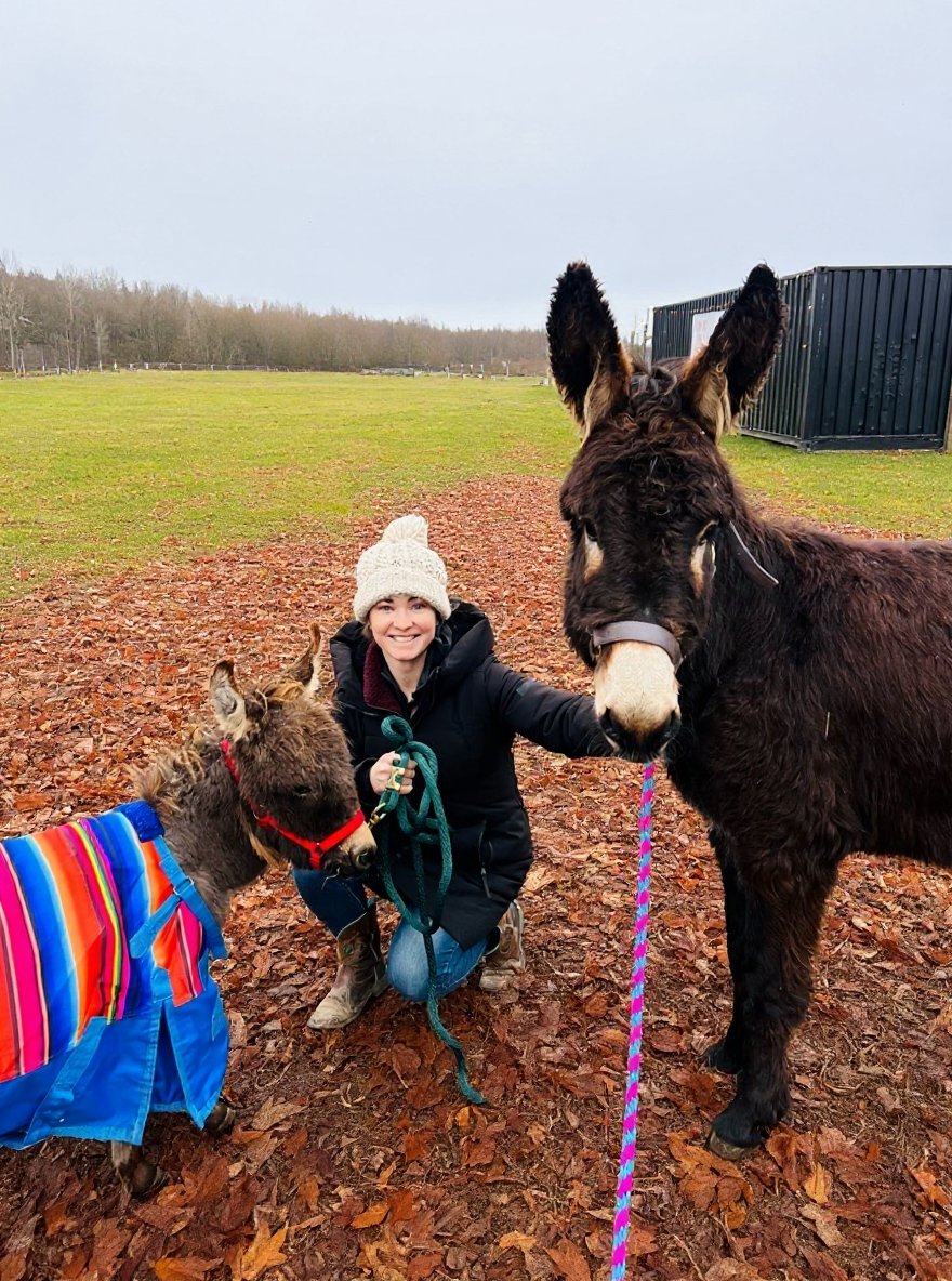 Mini donkey at Luckie Farms